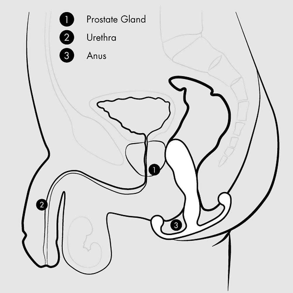 Aneros Trident Series Eupho Male Prostate Stimulator