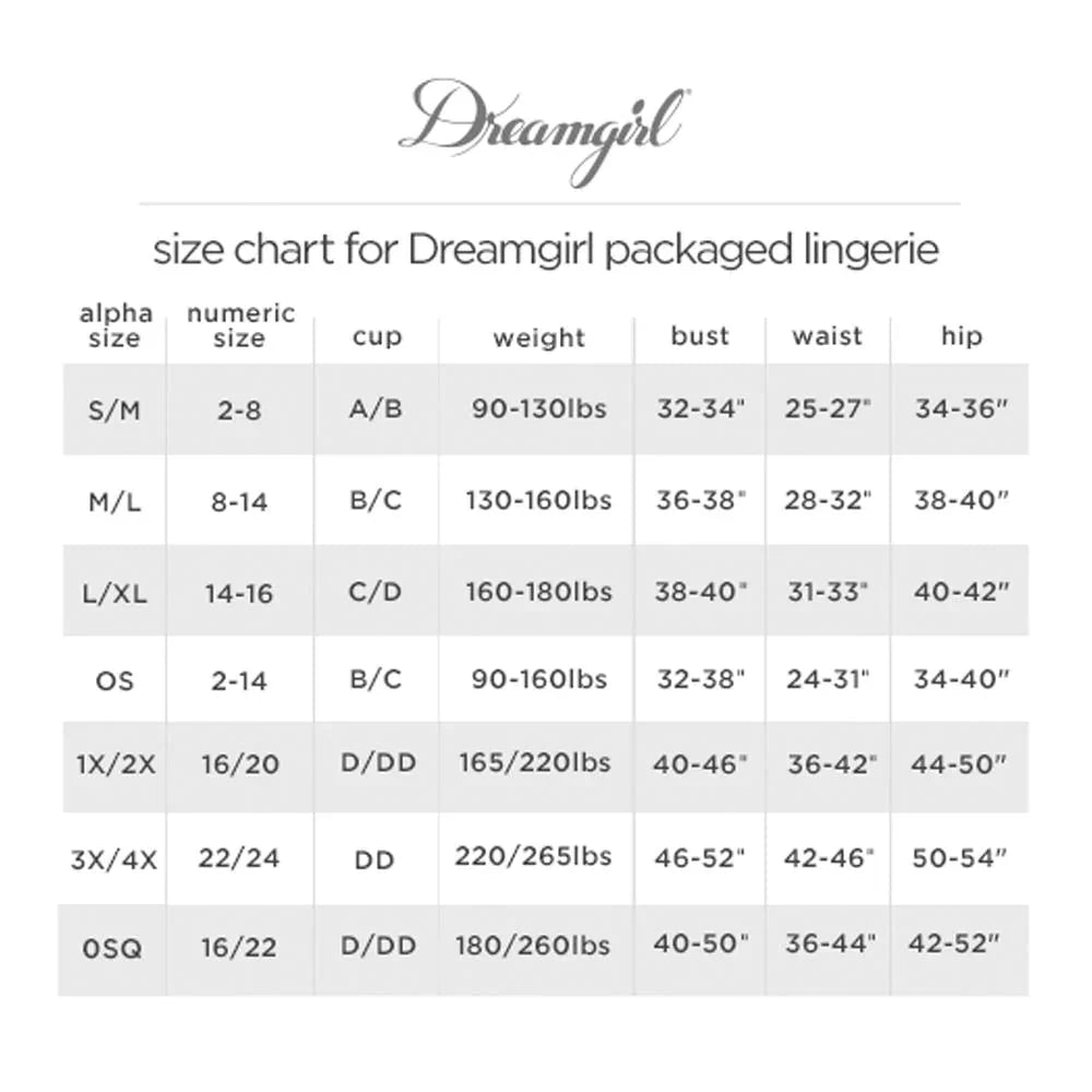 Dreamgirl Maid To Tease Costume Set