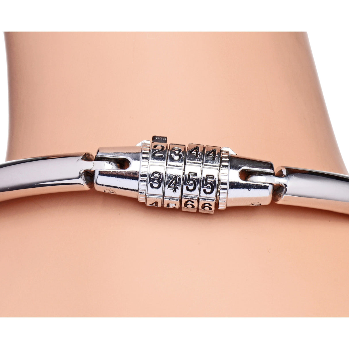 Stainless Steel Combination Lock Slave Collar