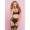 Galloon Lace & Microfiber Bra Set