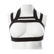 Gender Fluid Majesty Harness