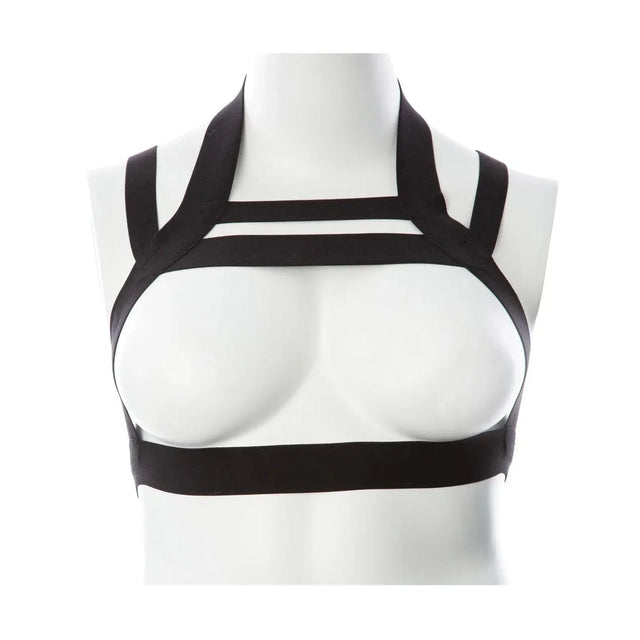 Gender Fluid Majesty Harness