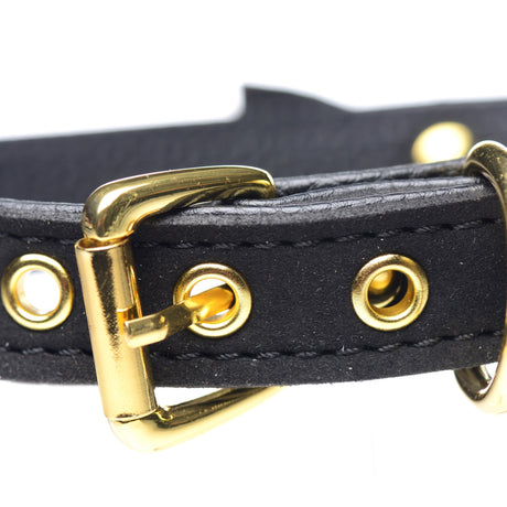 Golden Kitty Cat Bell Collar - Black
