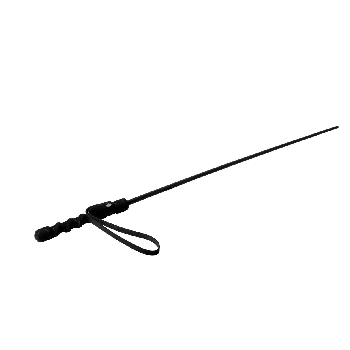 Isabella Sinclaire Intense Impact Cane