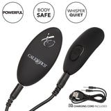 Remote Control Lace Panty & Vibe Set