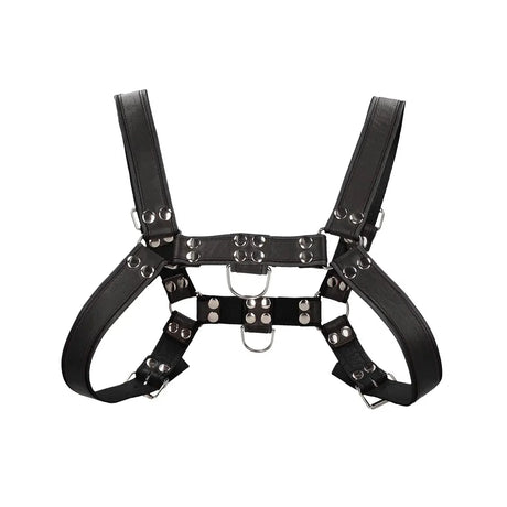 Shots Uomo Chest Bulldog Harness