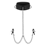Submission Collar and Nipple Clamps