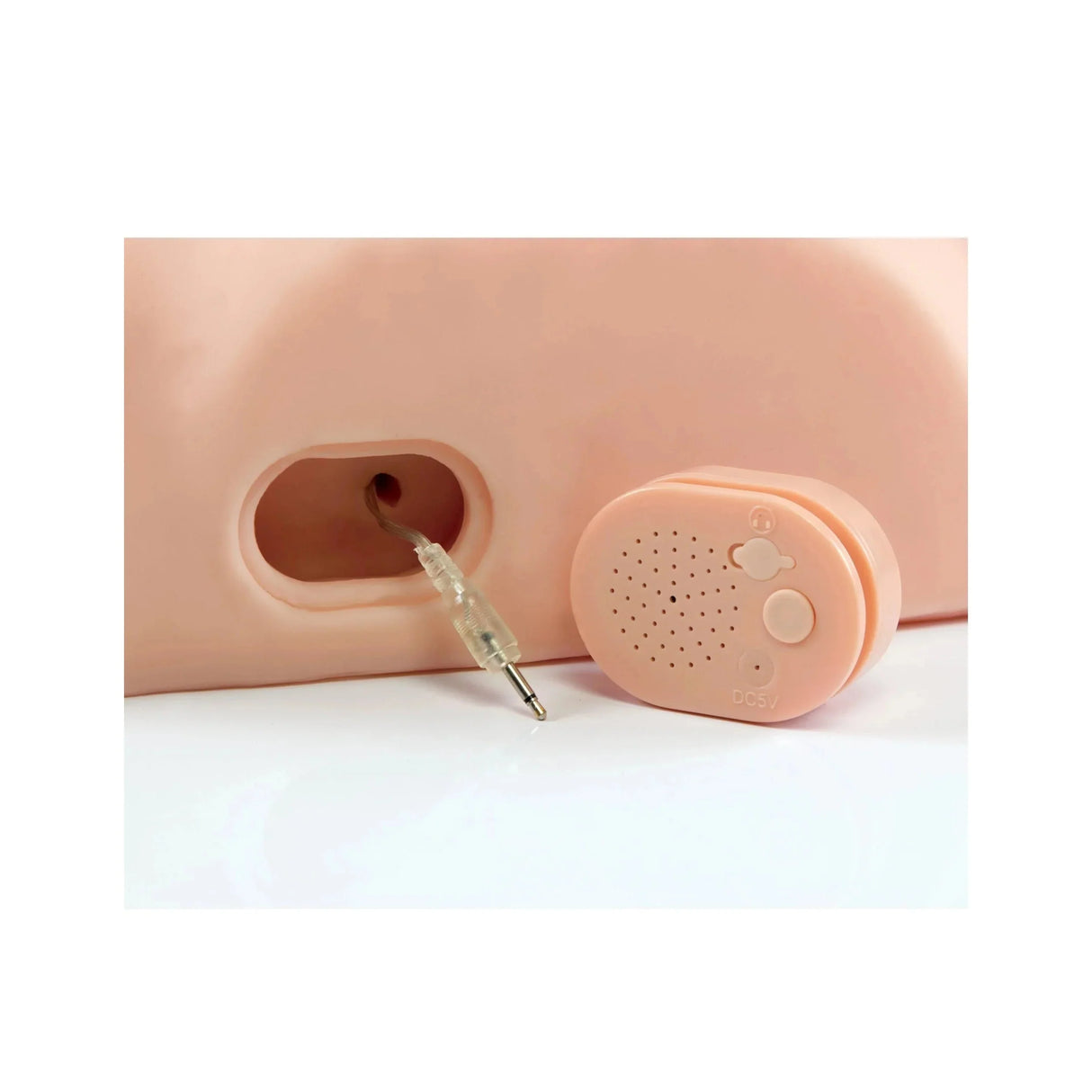 PDX Dirty Talk Interactive Fuck Him Silly Male Masturbator