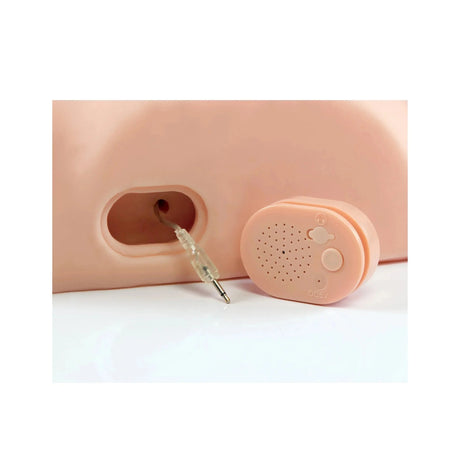 PDX Dirty Talk Interactive Fuck Him Silly Male Masturbator